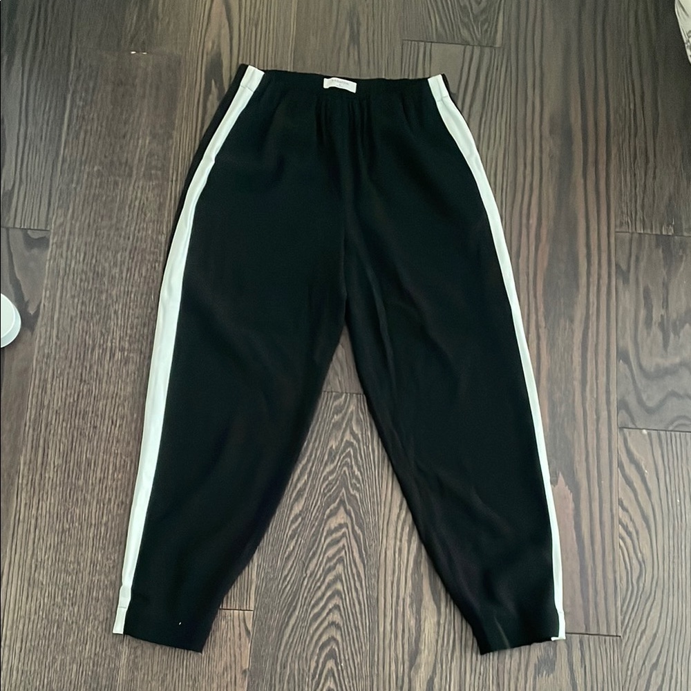 Aritzia Babaton pants
